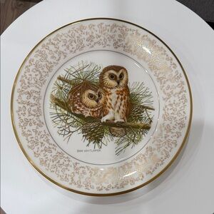 Gold and Brown Owl Decorative Plate new no box